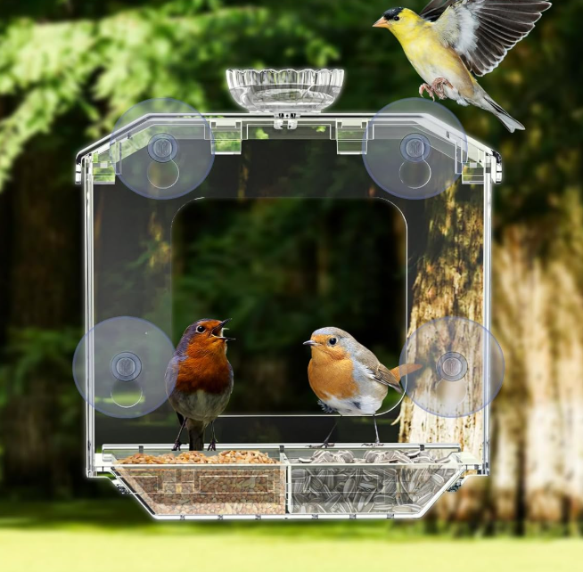 Clear Window Bird Feeder with Suction Cups