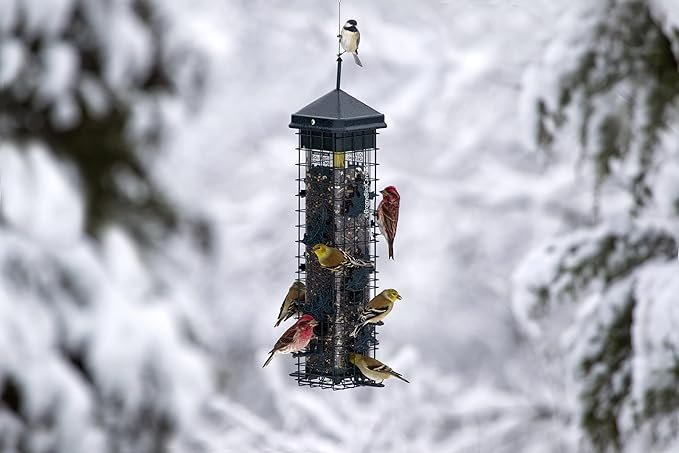 Squirrel Resistant Bird Feeder with Closing Ports