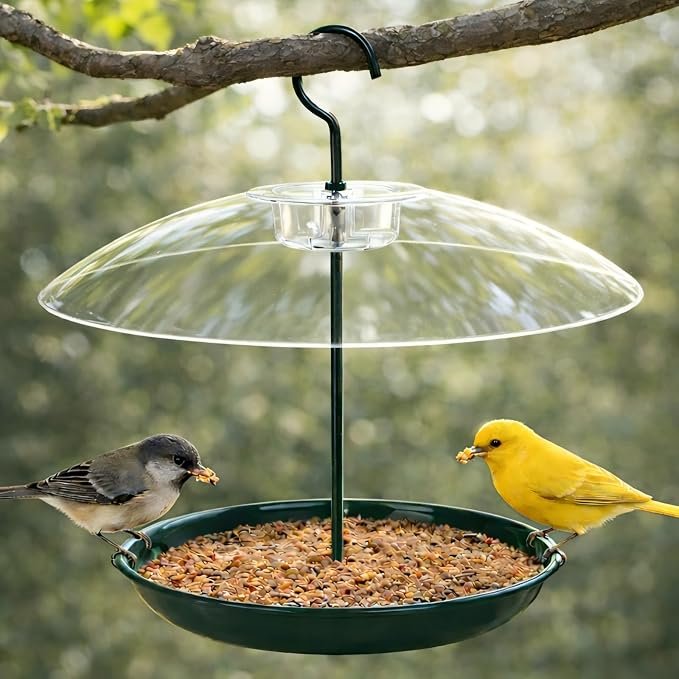 Platform Bird Feeder with Weatherproof Dome