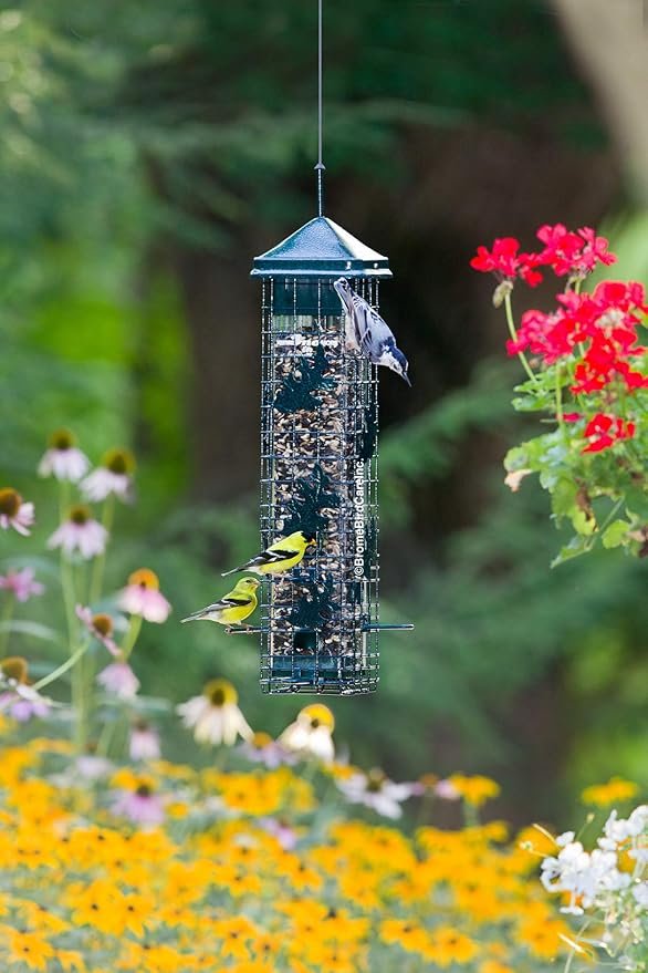 Squirrel Resistant Bird Feeder with Closing Ports - Image 2