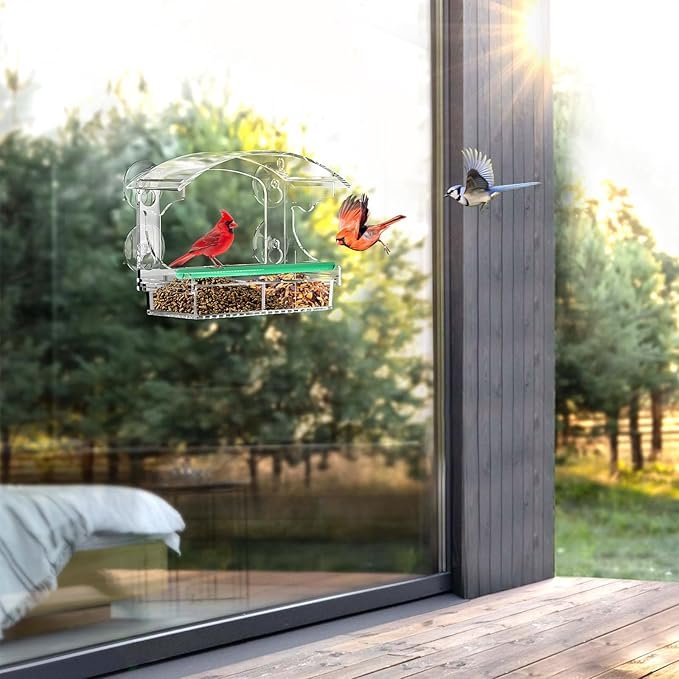 Clear Acrylic Window Bird Feeder