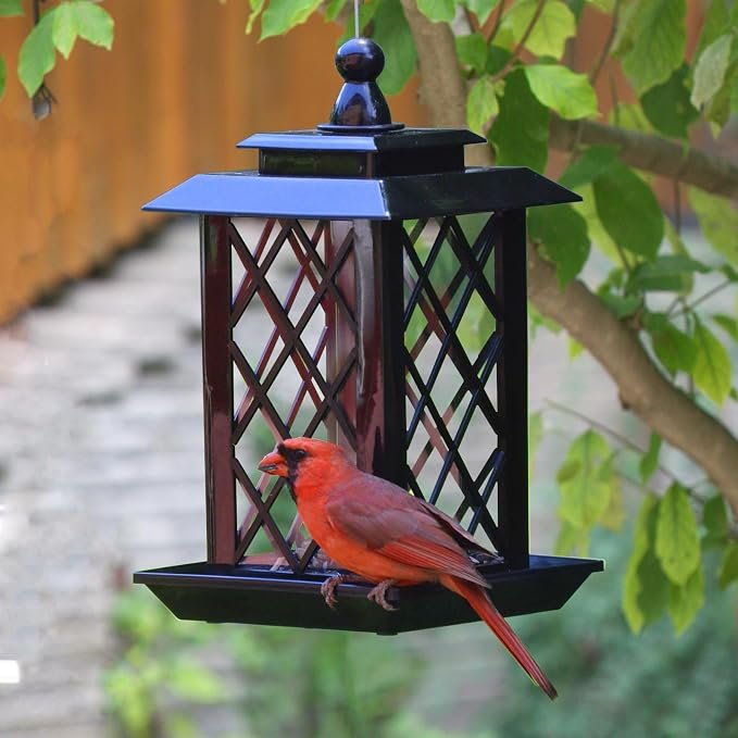 Lantern Style Hanging Bird Feeder
