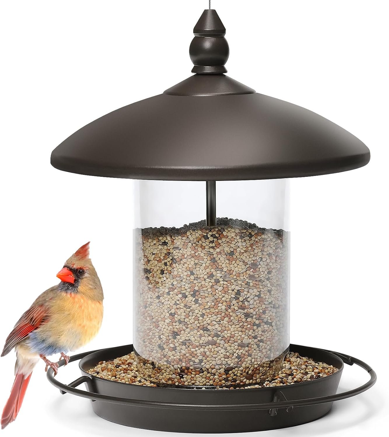 Chew Resistant Metal Roof Bird Feeder for Outdoor Birds - Image 2
