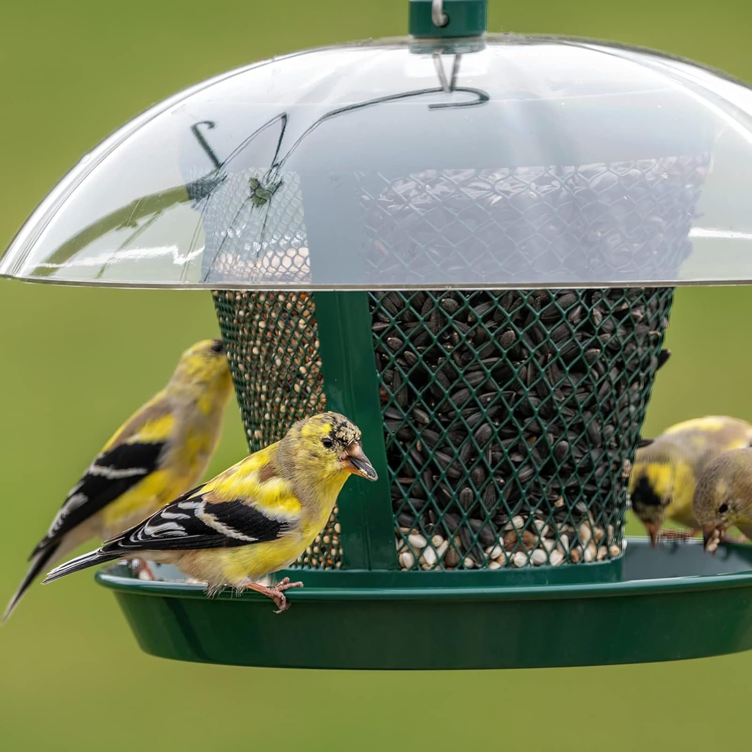 Two Layer Hanging Bird Feeder