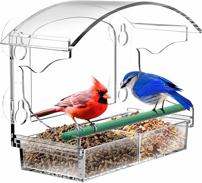 Clear Acrylic Window Bird Feeder - Image 2