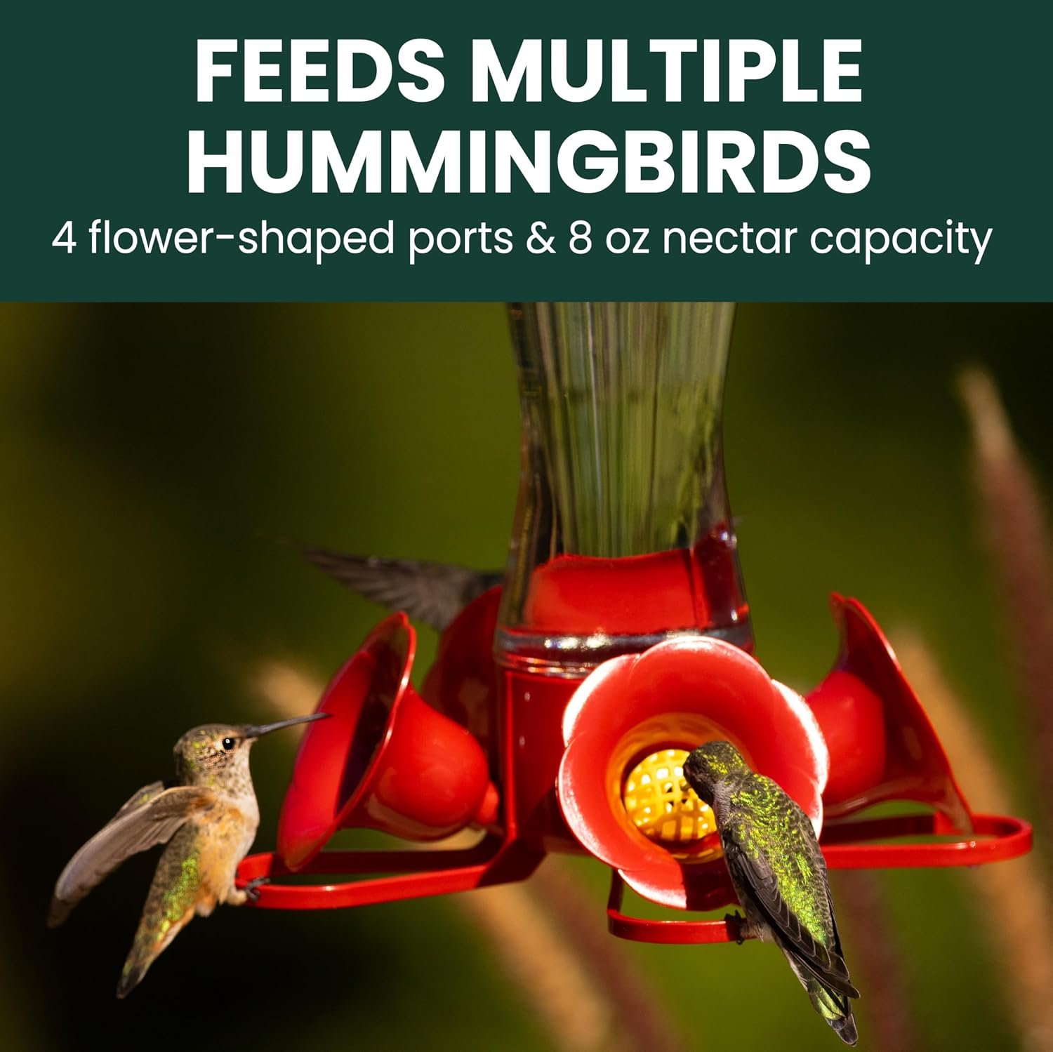 Glass Hummingbird Feeder with Ant Protection - Image 2