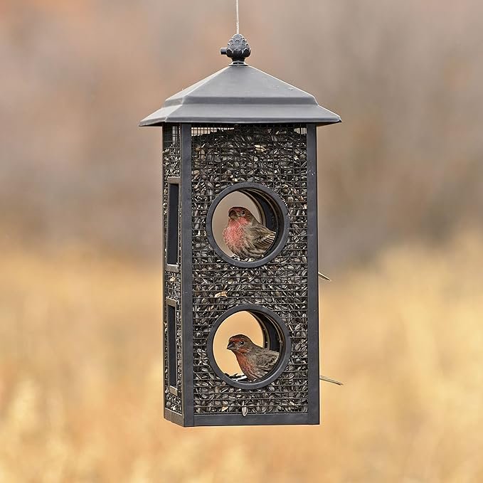 Metal Mesh Bird Feeder with Perches