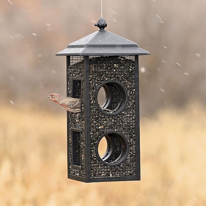 Metal Mesh Bird Feeder with Perches - Image 2